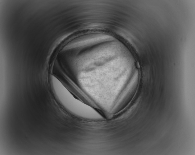 X0000092021066200710041039