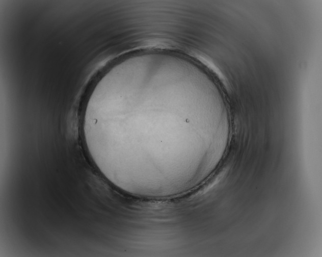 X0000092021067200710041039