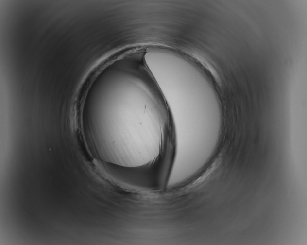 X0000092021069200710041039