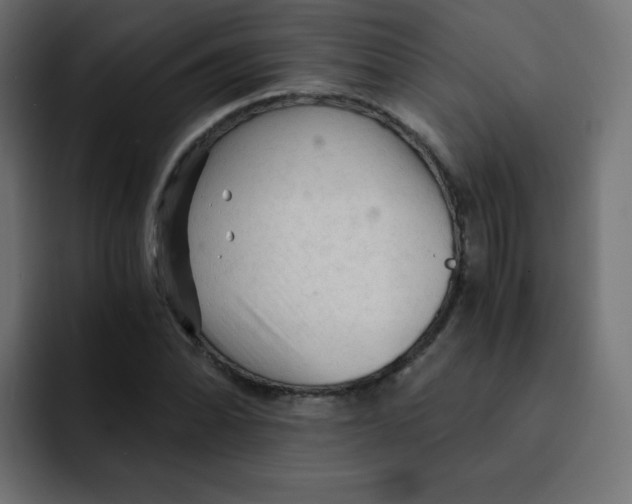 X0000092021070200710041039