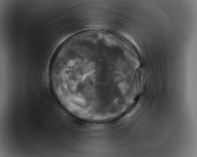 X0000092021071200710041039