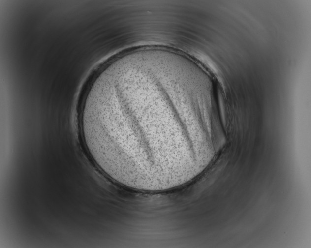 X0000092021072200710041039