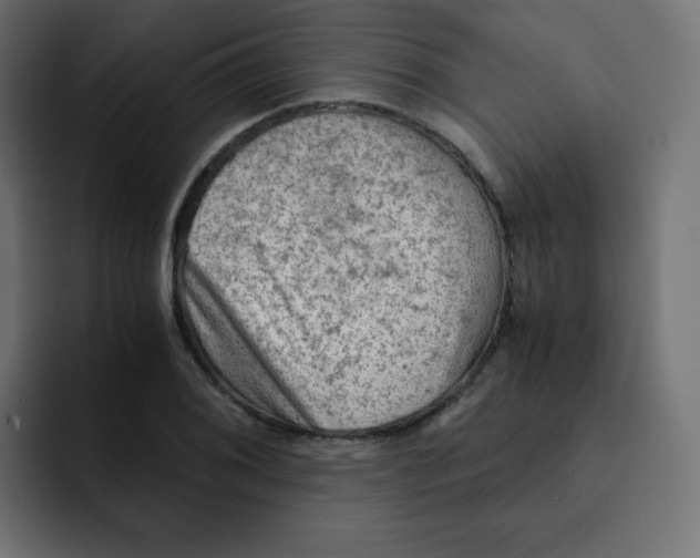 X0000092021076200710041039