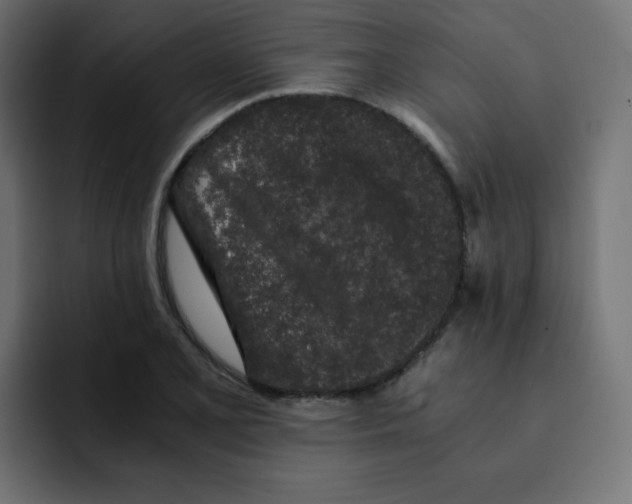 X0000092021077200710041039