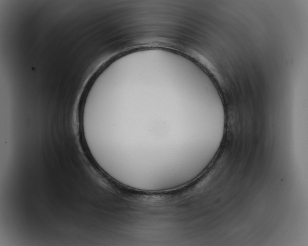 X0000092021082200710041039