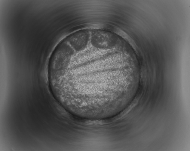 X0000092021083200710041039