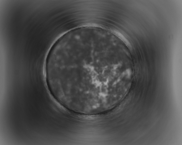 X0000092021084200710041039