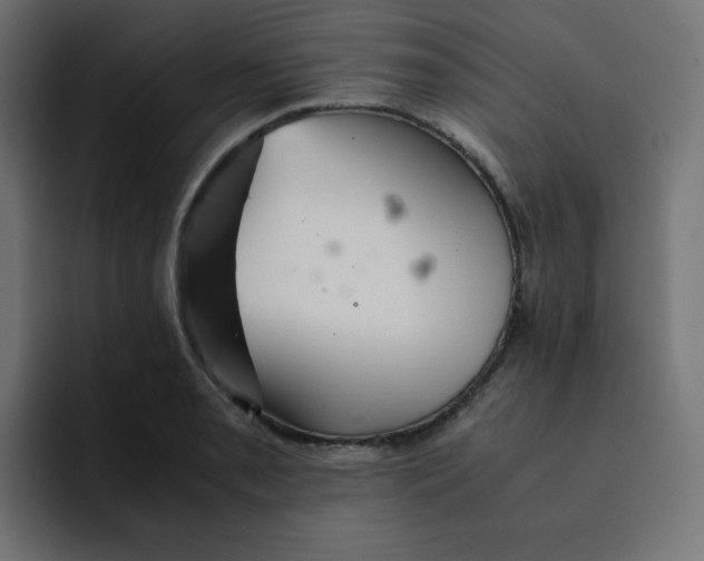 X0000092021085200710041039