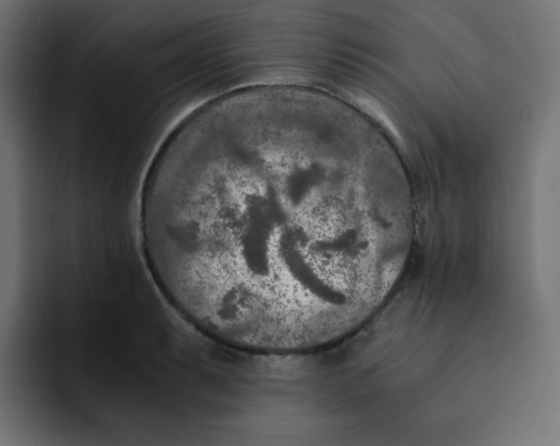 X0000092021087200710041039