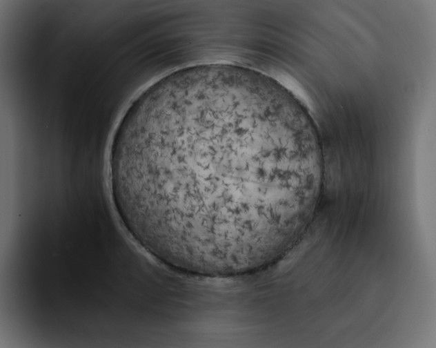 X0000092021088200710041039