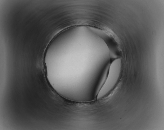 X0000092021089200710041039