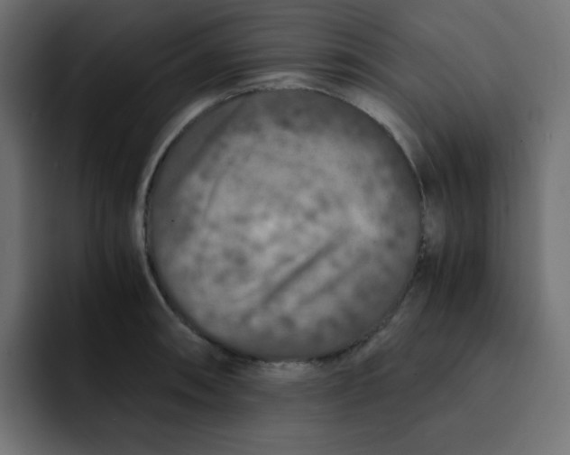 X0000092021090200710041039