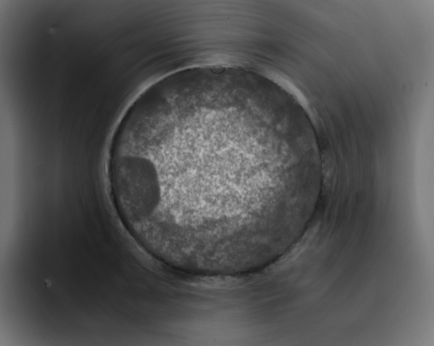 X0000092021091200710041039