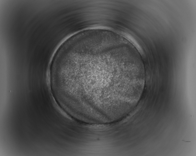 X0000092021092200710041039