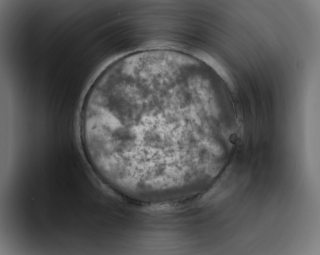 X0000092021094200710041039