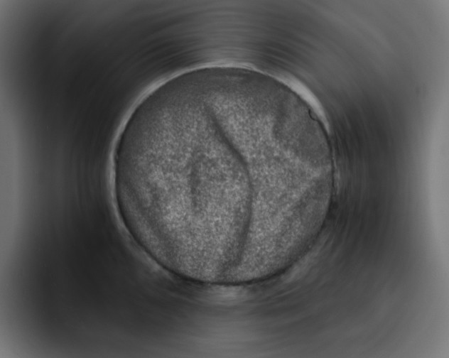 X0000092021096200710041039