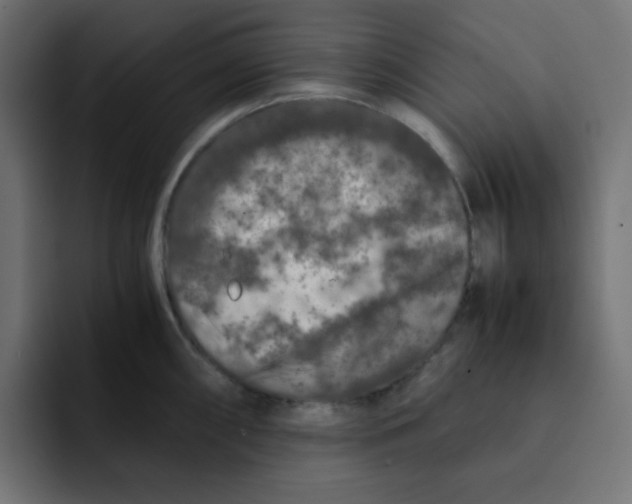 X0000092021098200710041039