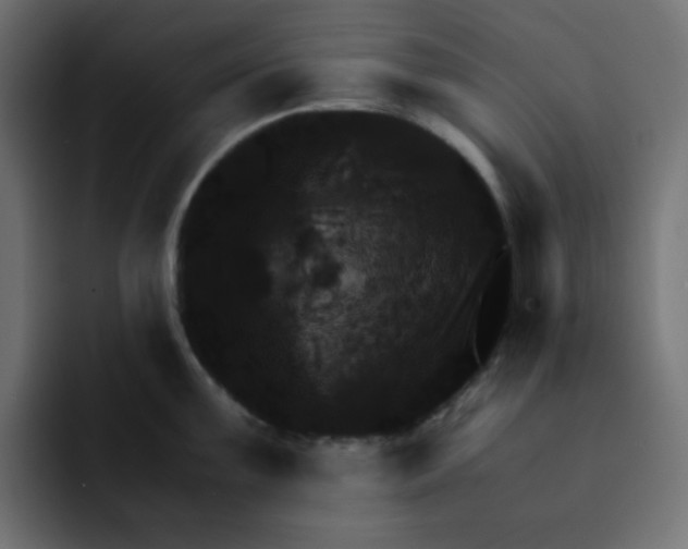 X0000092021099200710041039