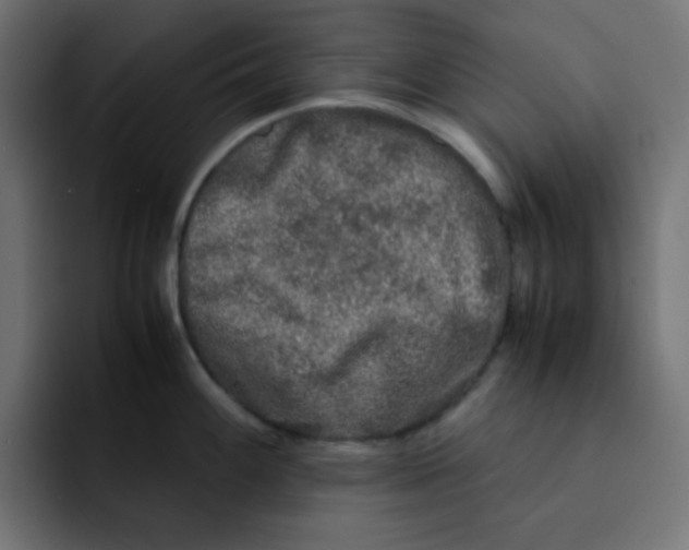 X0000092021100200710041039