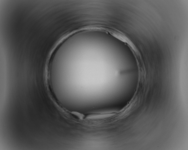 X0000092021101200710041039