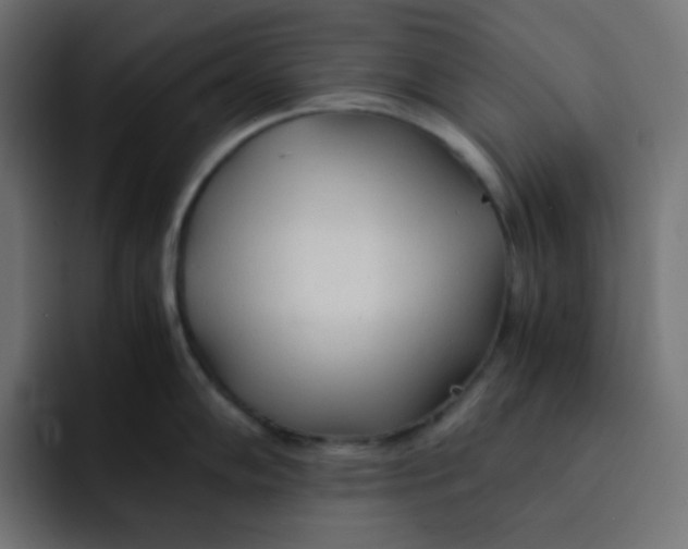 X0000092021102200710041039