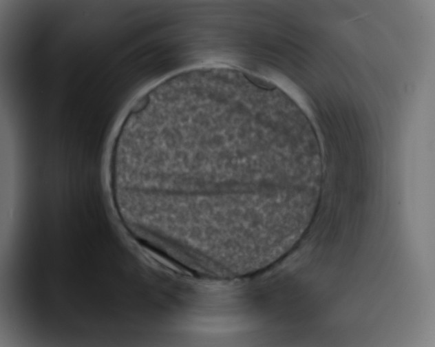 X0000092021104200710041039