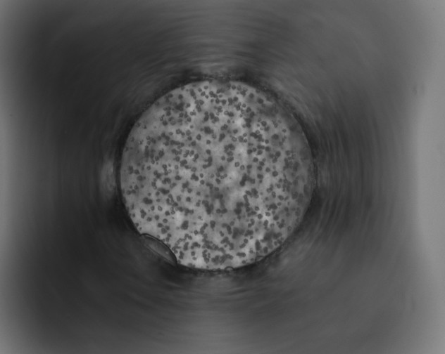 X0000092021106200710041038