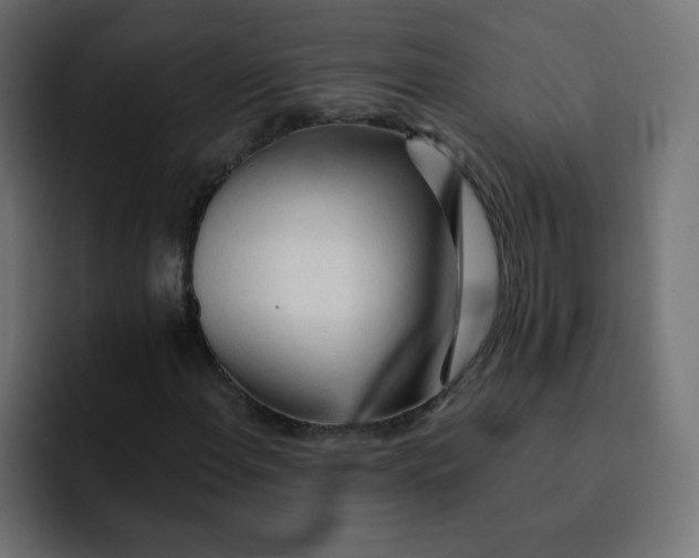 X0000092021108200710041038