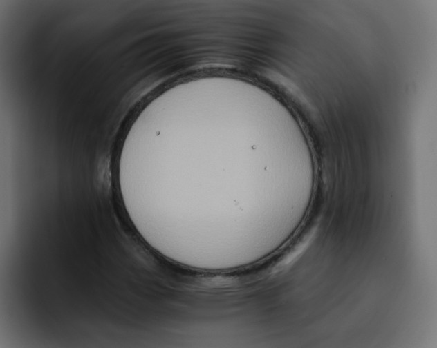 X0000092021113200710041038