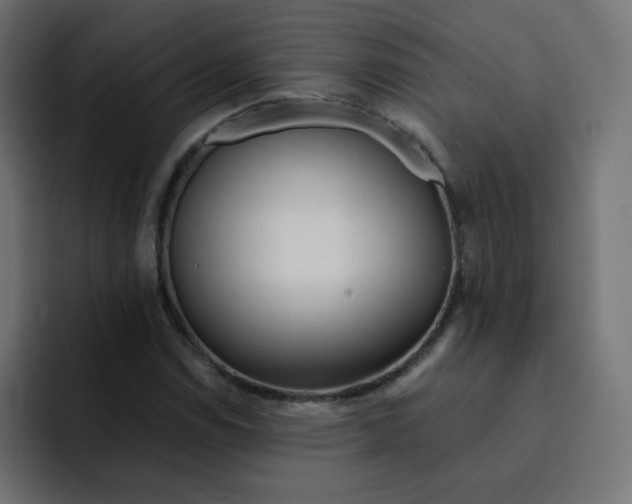 X0000092021114200710041038