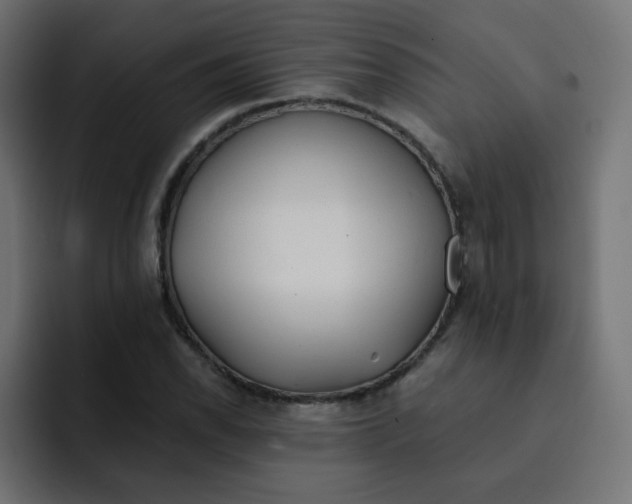 X0000092021118200710041038