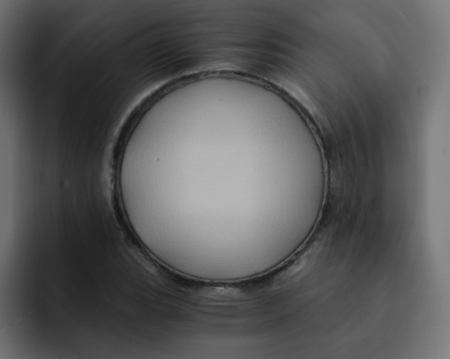 X0000092021119200710041038