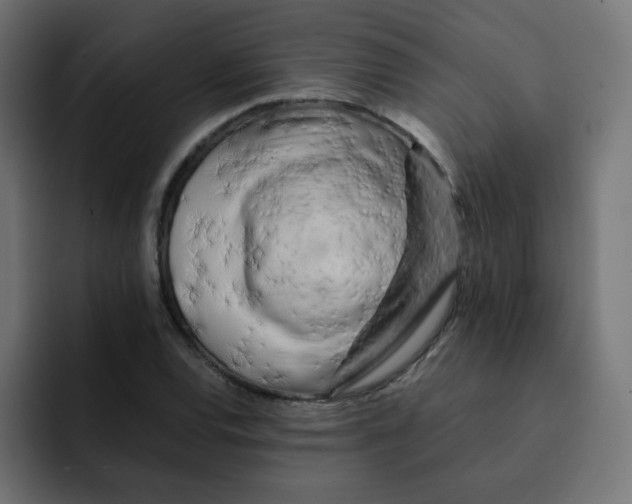 X0000092021120200710041038