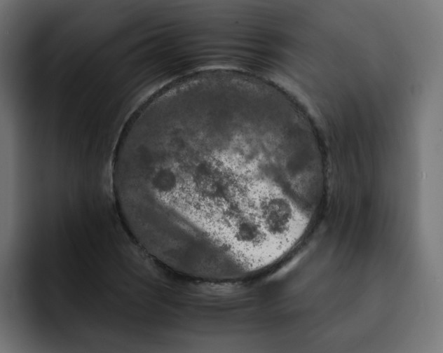 X0000092021121200710041038