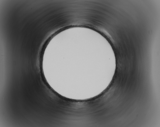 X0000092021122200710041039