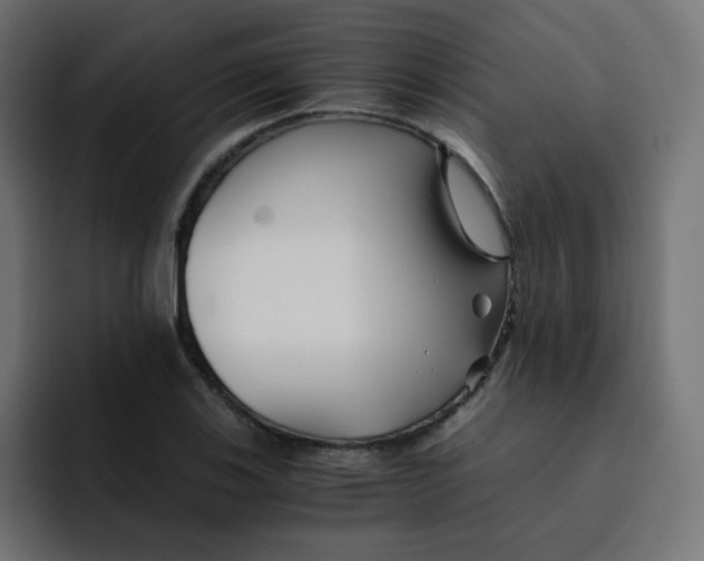 X0000092021123200710041039