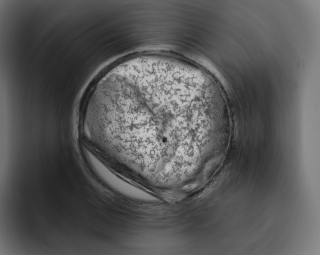 X0000092021124200710041039