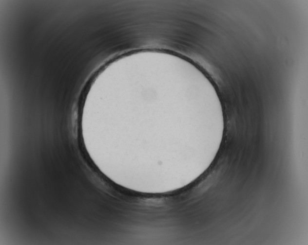 X0000092021126200710041039