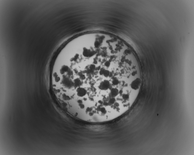 X0000092021127200710041039