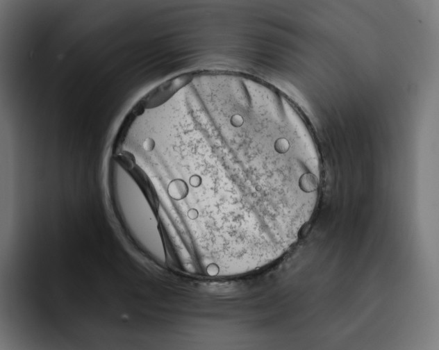 X0000092021128200710041039