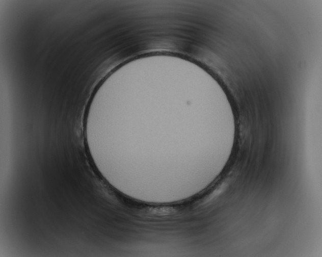 X0000092021129200710041039