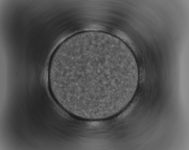 X0000092021130200710041039