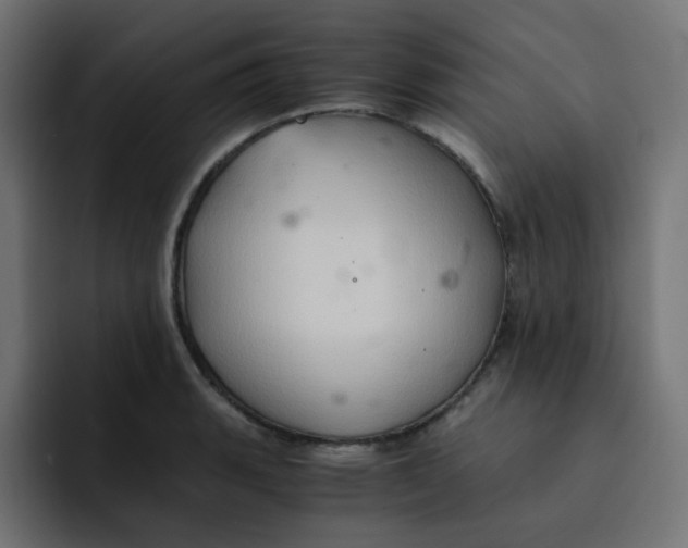 X0000092021135200710041039