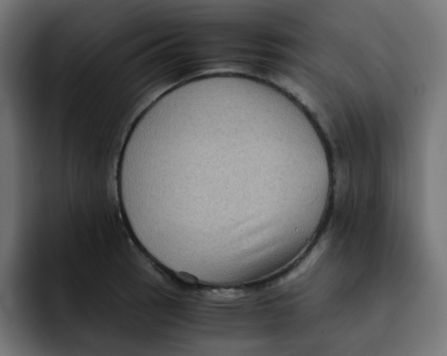 X0000092021137200710041039