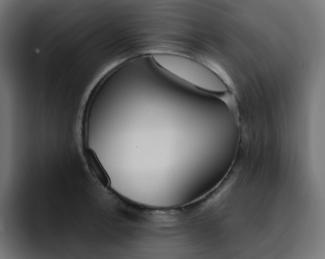 X0000092021138200710041039