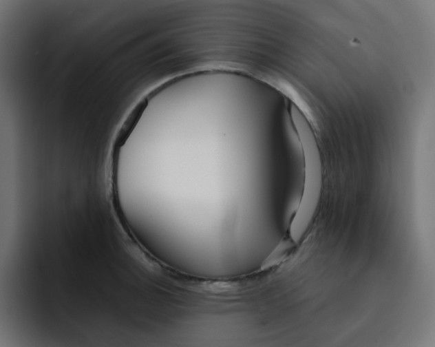 X0000092021140200710041039