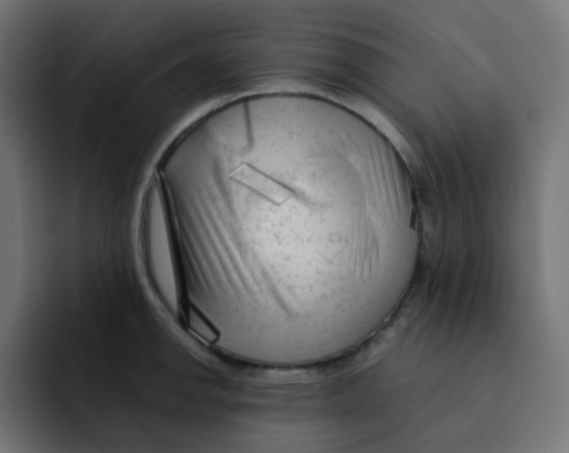 X0000092021142200710041039