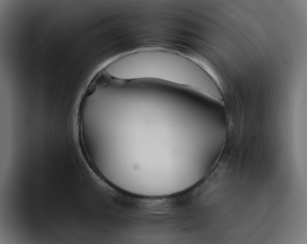 X0000092021143200710041039