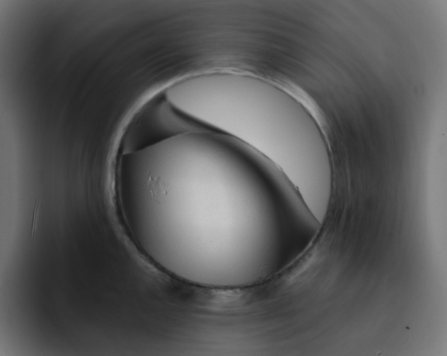 X0000092021144200710041039