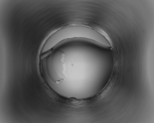 X0000092021146200710041039